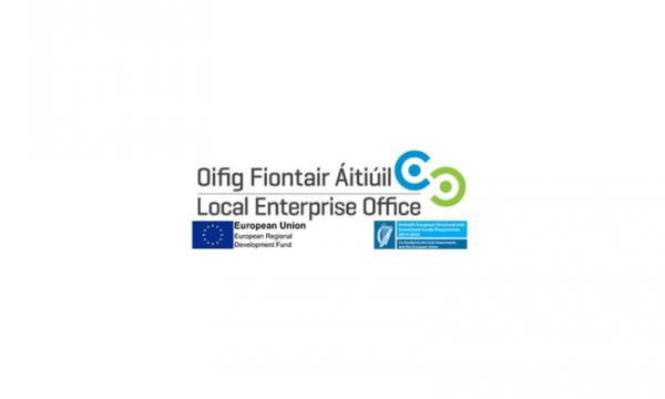 Local Enterprise Office (Ireland) - WEgate